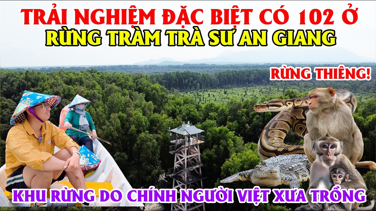 Trải Nghiệm Đặc Biệt Có 102 ở Rừng Tràm Trà Sư An Giang, Khu Rừng Do Chính Người Việt Xưa Trồng!!