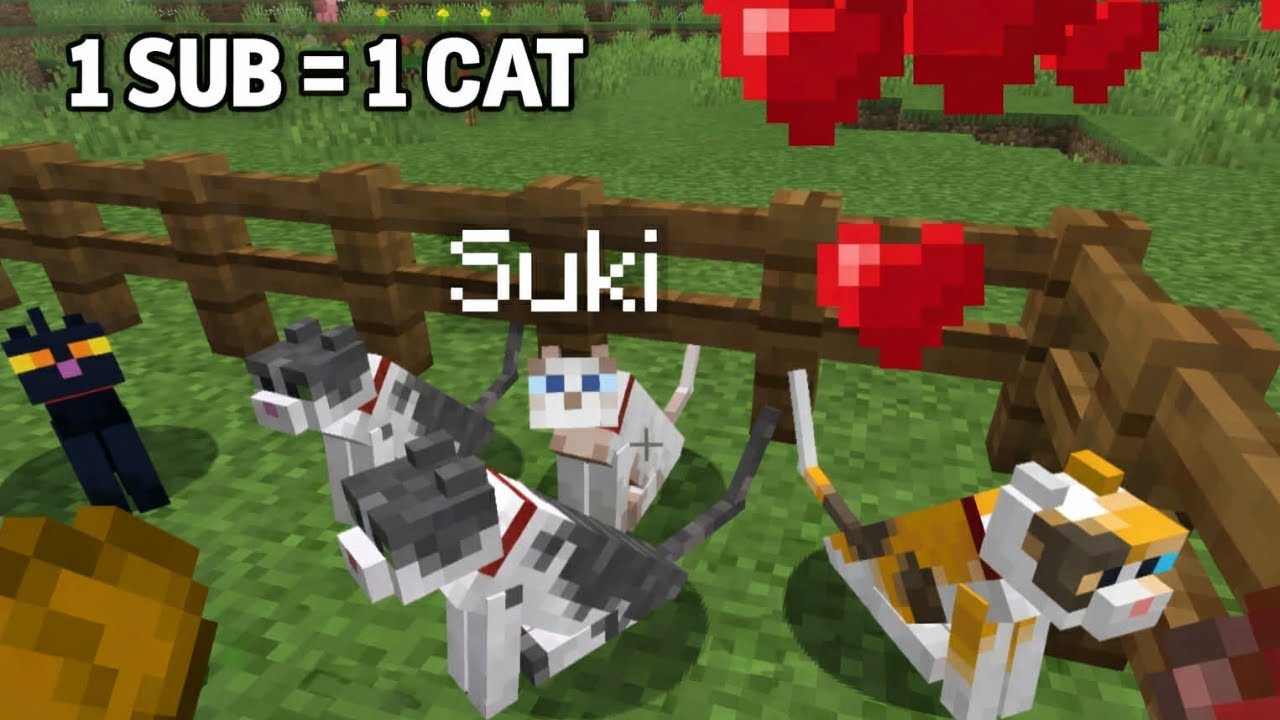 1 Sub = 1 Cat | So It Begins | Minecraft Survival Let's Play [Ep 2]