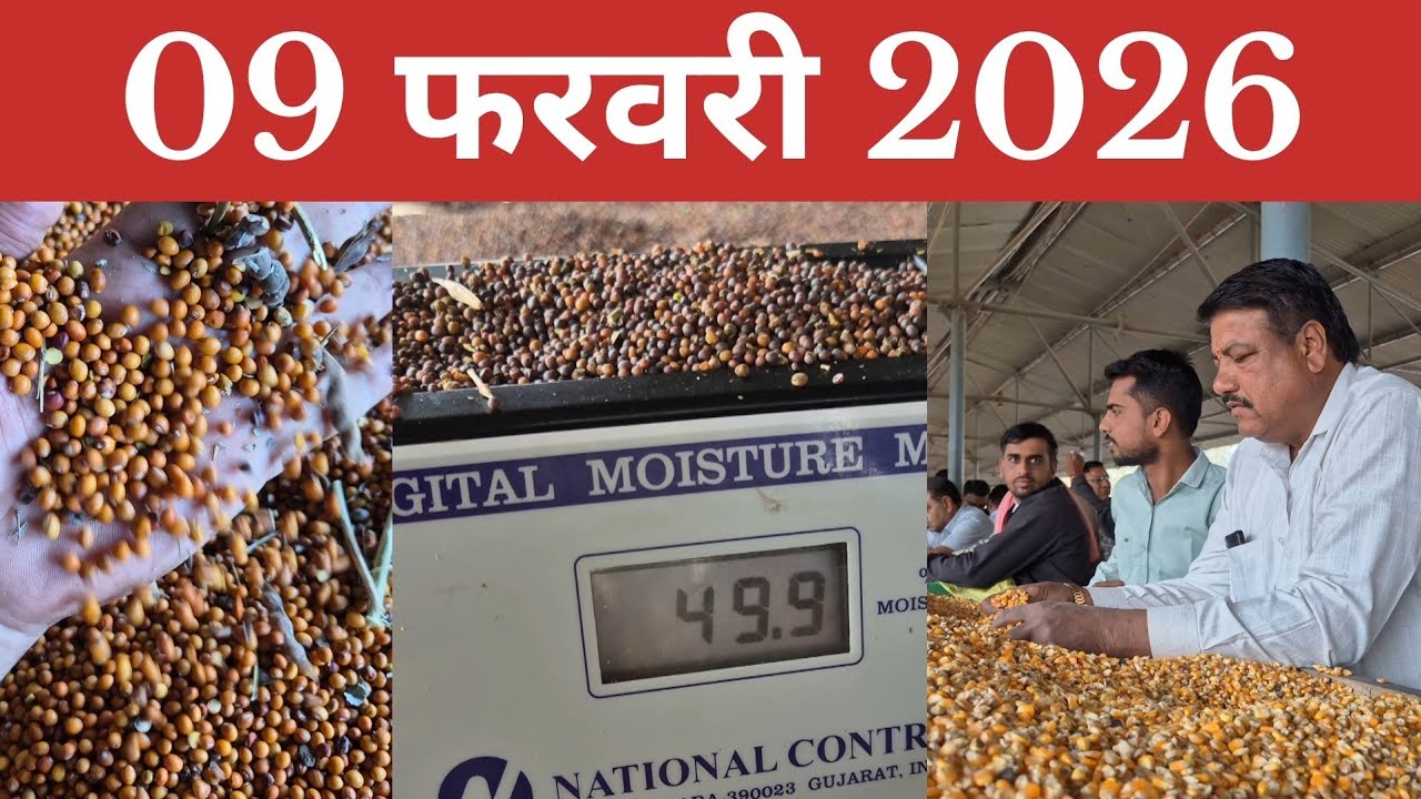 09 फरवरी 2026, सोमवार का मंडी भाव 🔥 कृषि उपज मंडी खातेगांव से LIVE #mandirate 