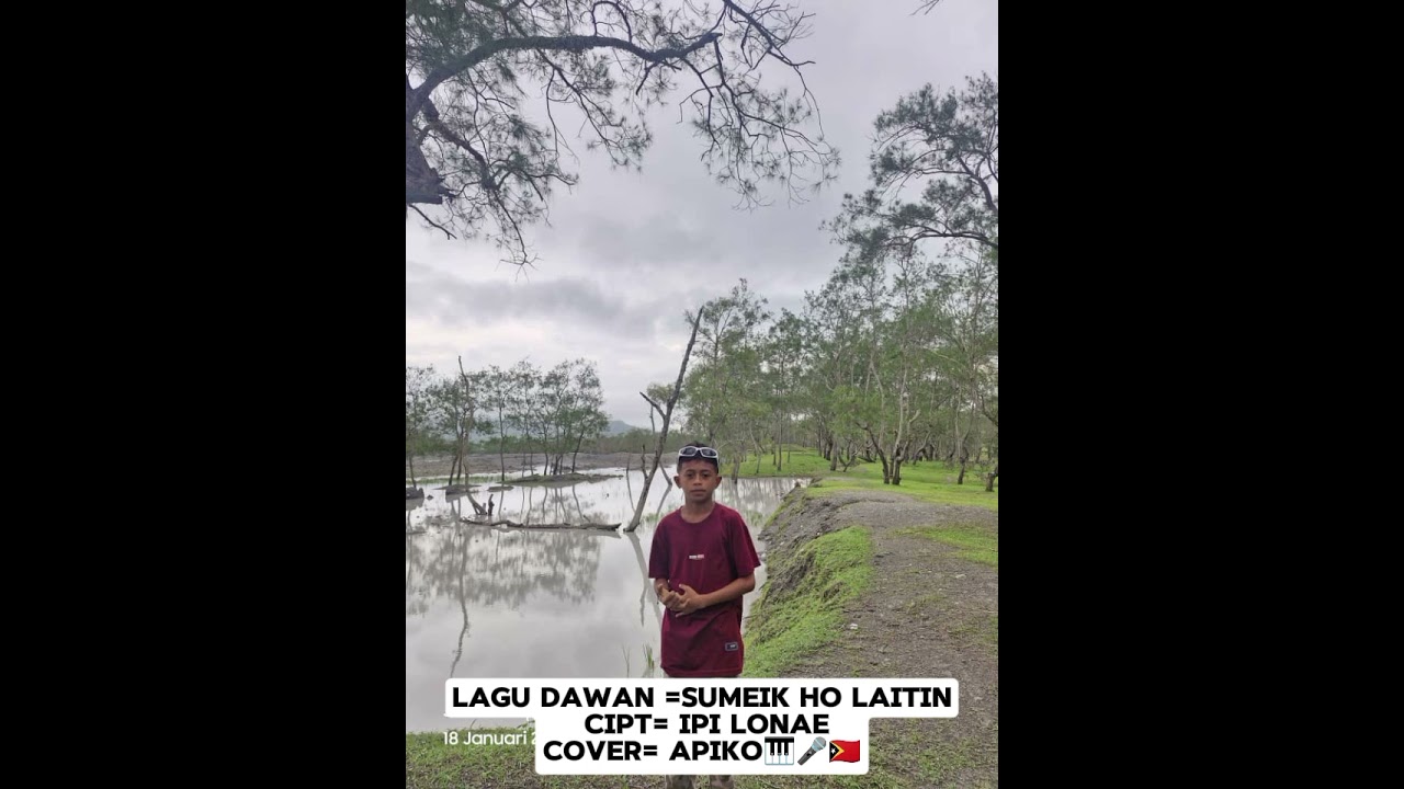 Lagu Dawan= Sumeik ho laitin // Cipt// ipi Lonae// Cover//Apiko🎹🎤🇹🇱