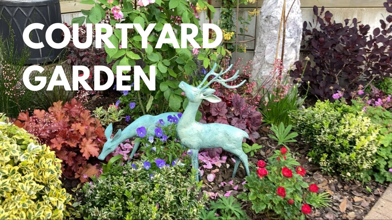 A Stroll Through Edie’s Charming Zone 8 Courtyard Garden 🌸