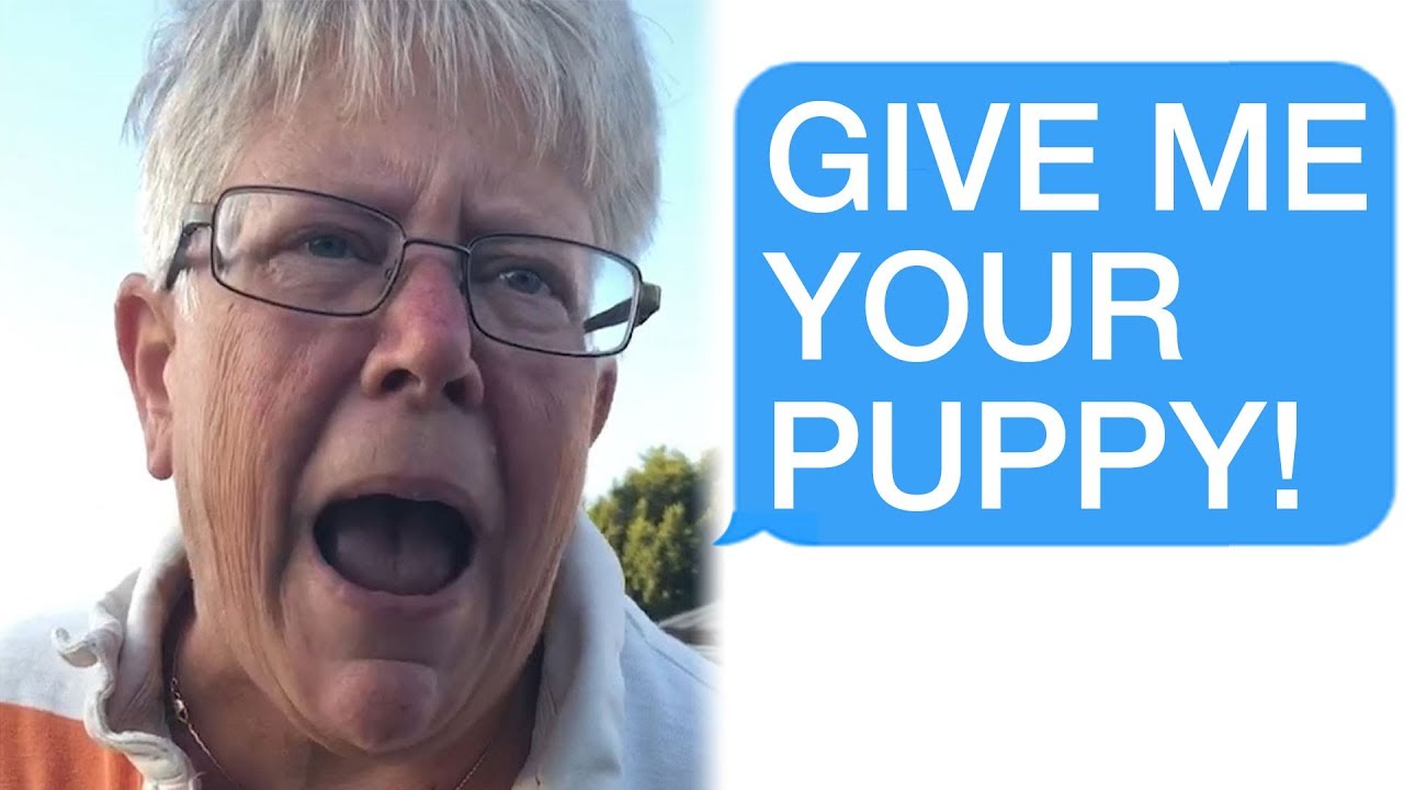 r/Entitledparents Crazy Woman STEALS a Service Dog!