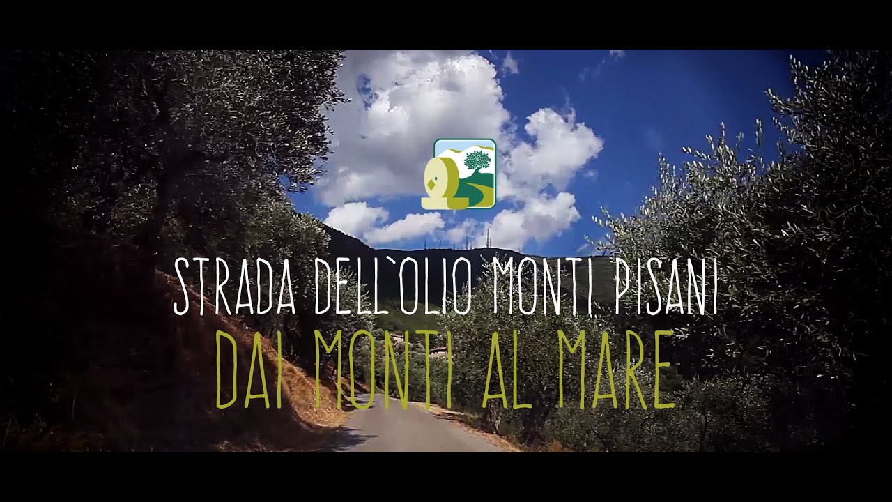 Strada dell'Olio Monti Pisani - Dai monti al mare (Full HD)
