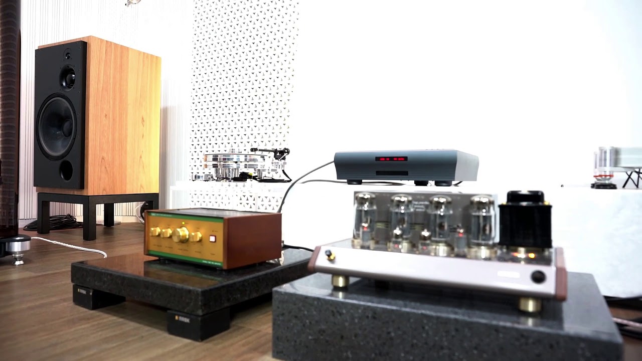 Fyne Audio F1 10 & Leben RS-28CX & CS-1000P AMP