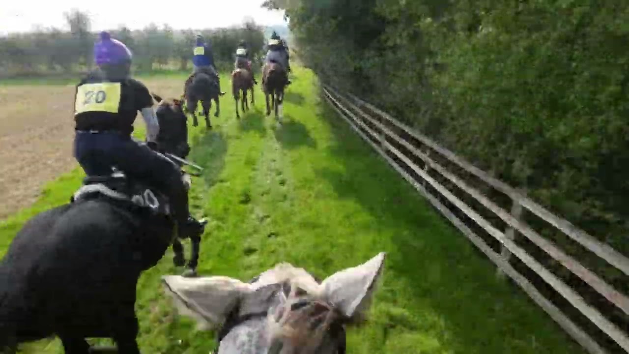 Fox Hunter at The Cottesmore 2024