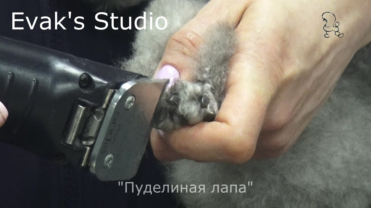 Факультатив!!! 