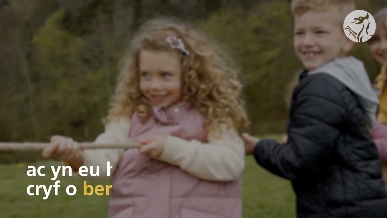 Cwricwlwm i Gymru: Addysg gynnar i blant 5 i 8 oed