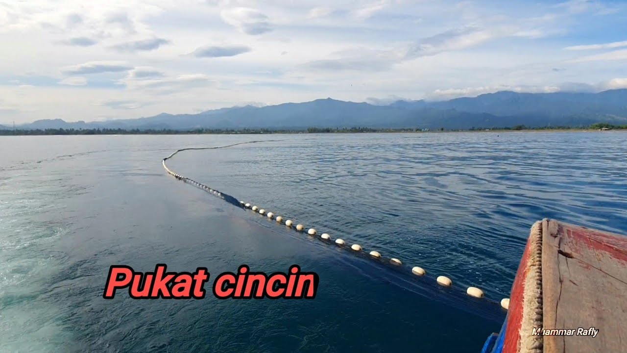 Proses Lingkar Jaring Pukat Cincin Penangkapan Ikan Teri Dari Awal HinggaSelesai | Fishing nets
