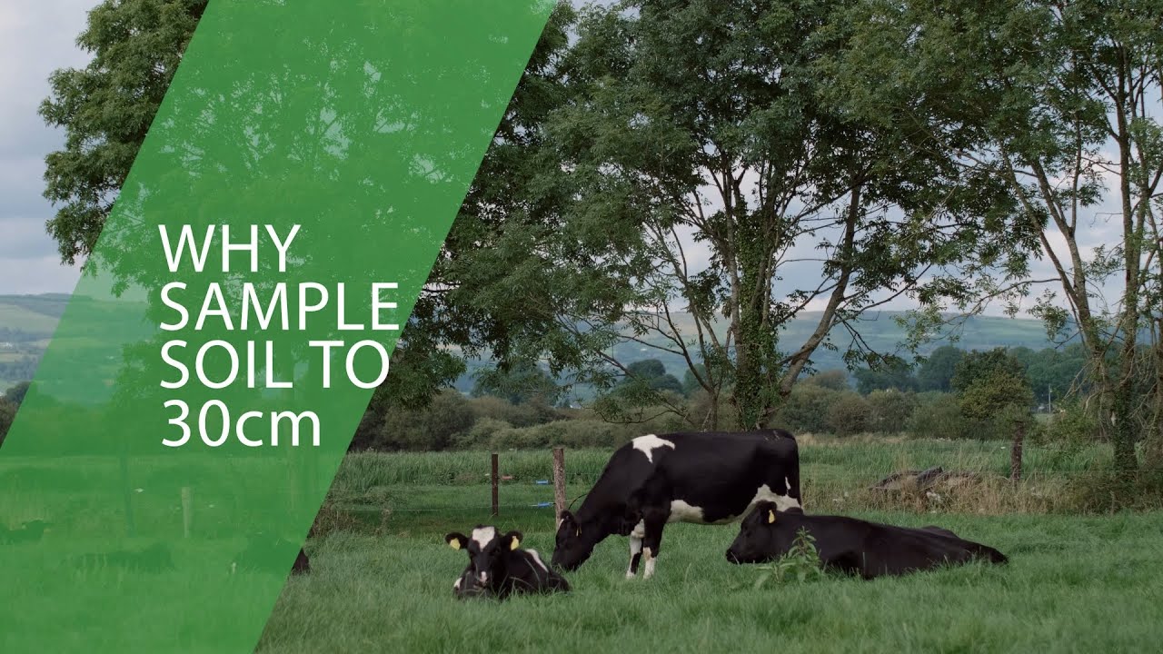 Why Sample Your Soil To A Depth Of 30cm?