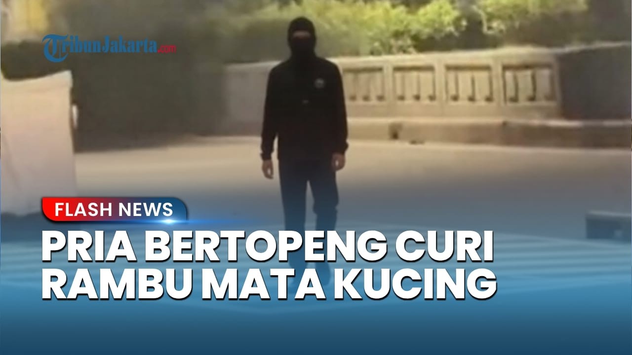 Viral Pria Bertopeng Curi Belasan Rambu Mata Kucing di Jalan DI Panjaitan Jakarta Timur