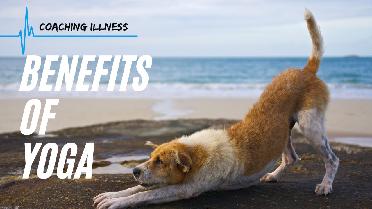 Chronic Illness and Exercise: The Benefits of Yoga