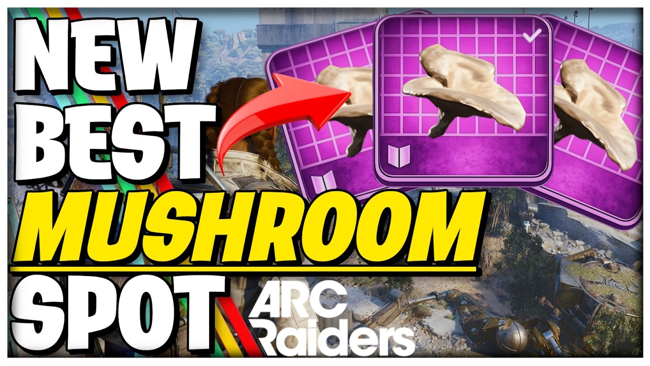 NEW Best Loot Spot for Mushrooms & Fruits in one room for Scrappy  | ARC Raiders Guide