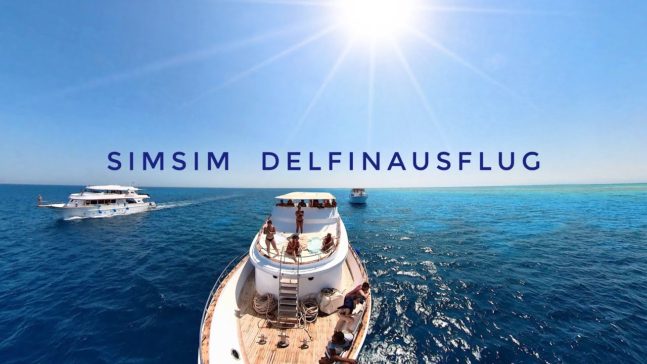 Delfinausflug mit SimSim Reisen am Roten Meer (Hurghada, &Auml;gypten)