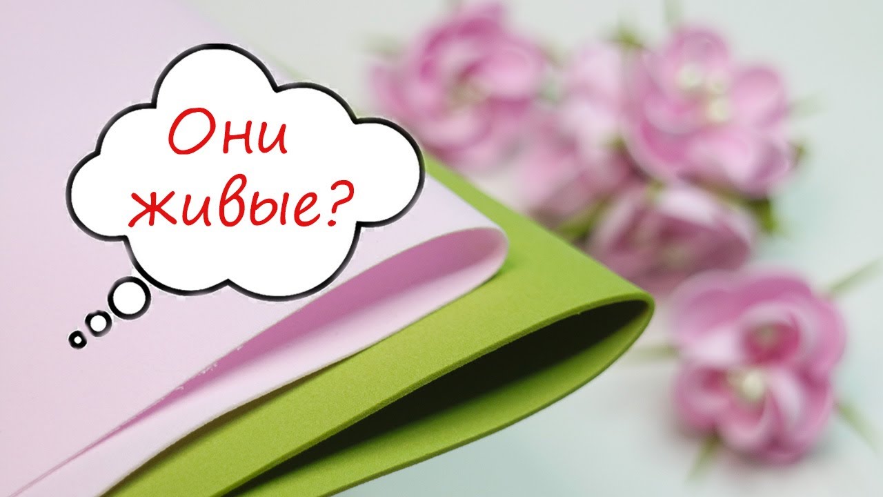 Вопрос Моей Дочки 🧐 Они Живые 🧐 Когда увидела Эти цветы из фоамирана