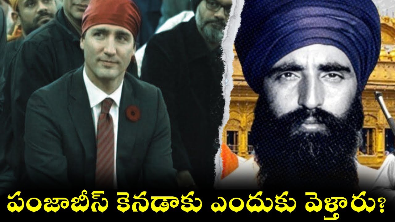 Why Punjabi's Go To Canada? | Info Geeks