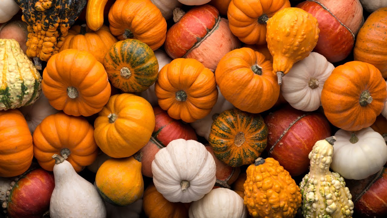 How to make CBD Pumpkin Soup