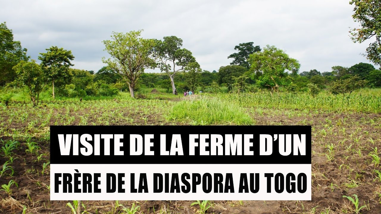 Visite de la Ferme d'un Frere de la Diaspora au Togo.