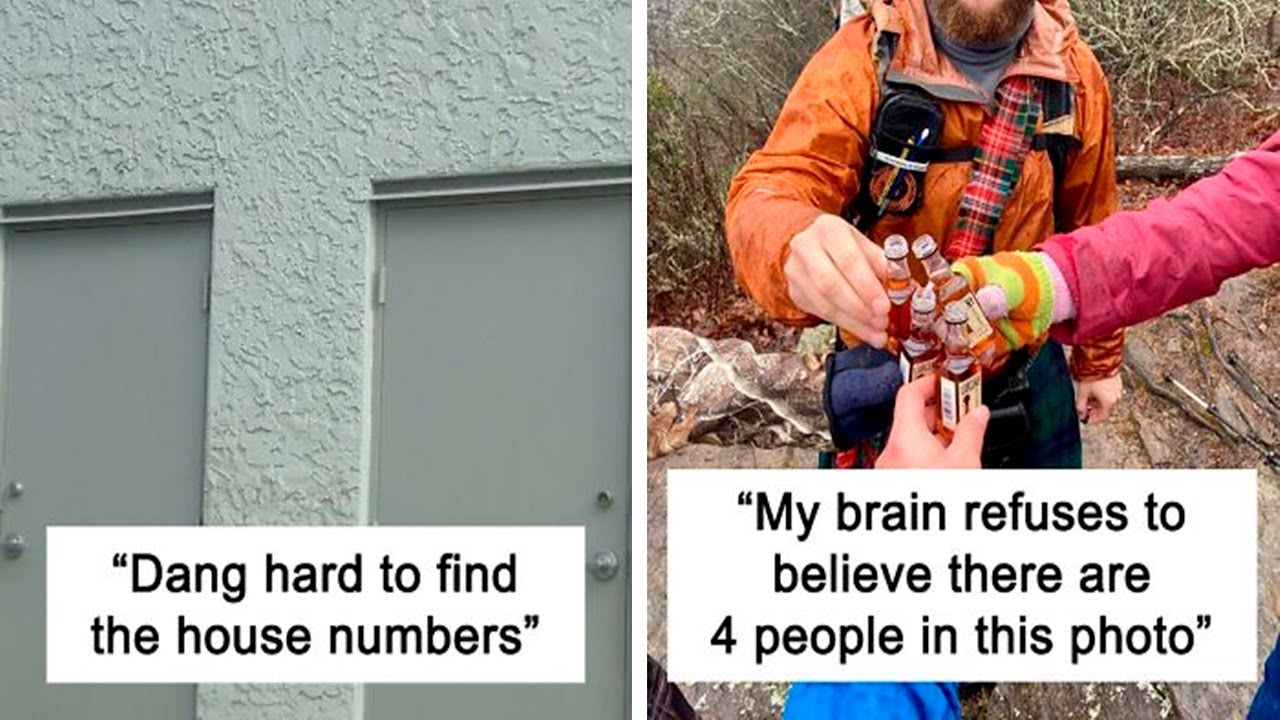 People Share Accidental Camouflage Examples And Here Are The Best Photos