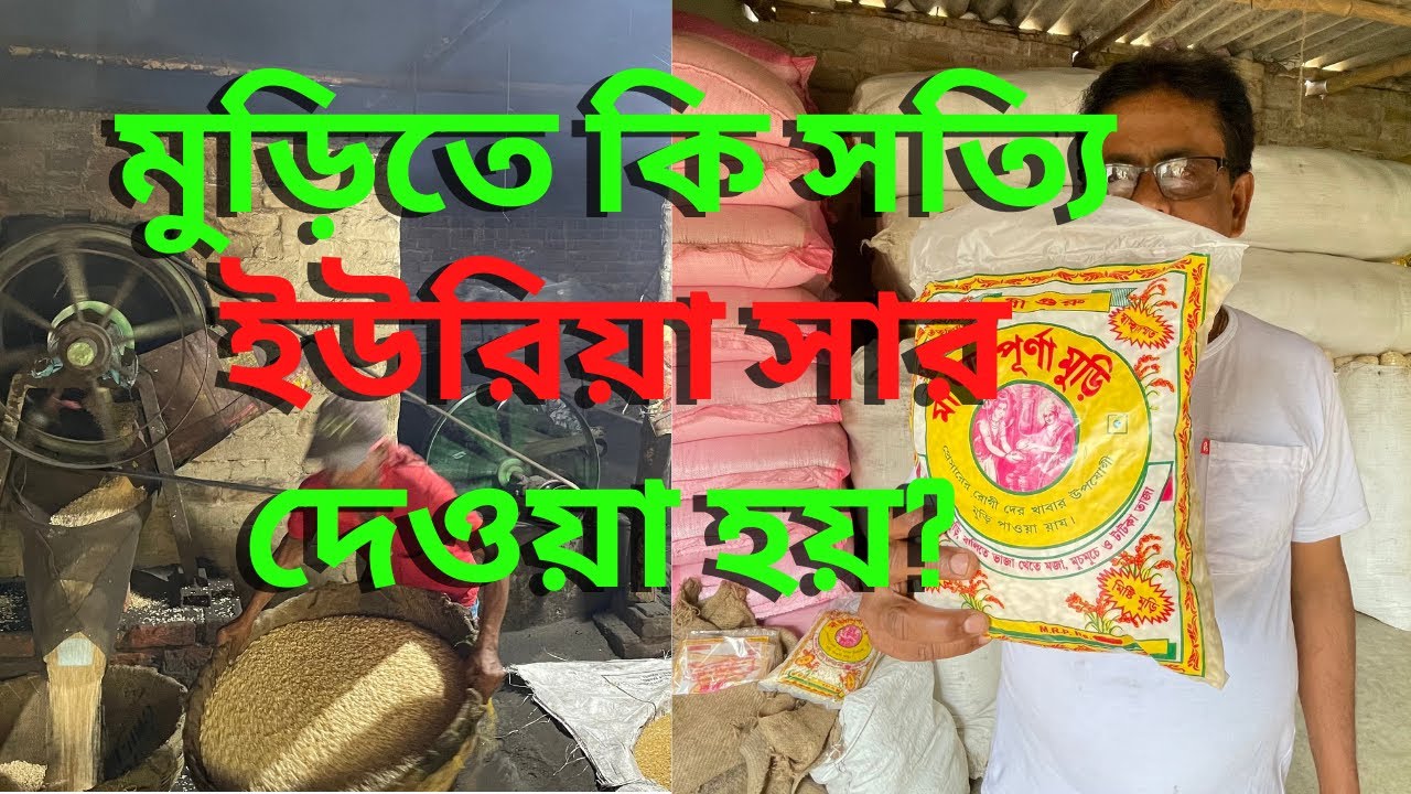 মুড়িতে কি সত্যি  ইউরিয়া সার ব্যবহার করা হয় ? মুড়ি ভাজা মেশিন || মুড়ি ভাজা || muri || puffed rice