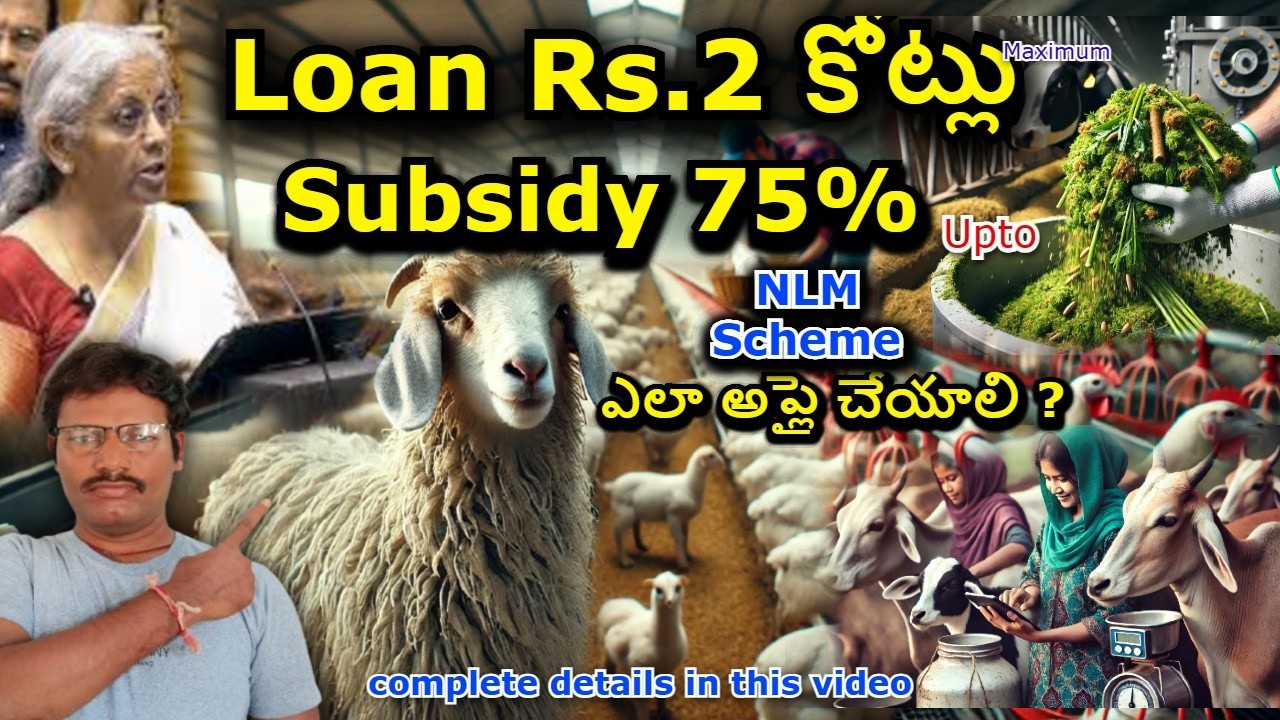 NLM Scheme 2026 Explained in Telugu | National Livestock Mission Loan, Subsidy, Application Process