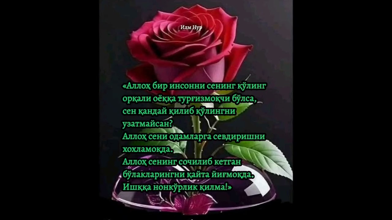 ИШҚа оид 40 қоида