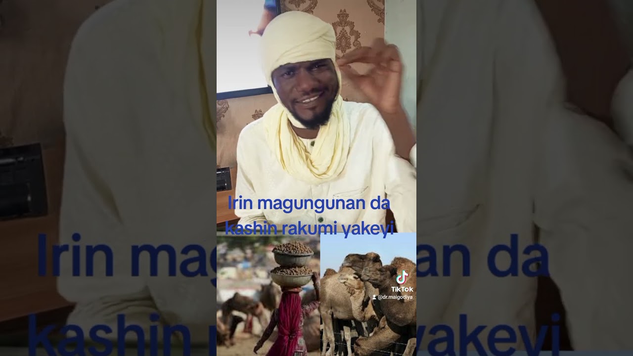 kokunsan kashin rakumi na maganin sihiri