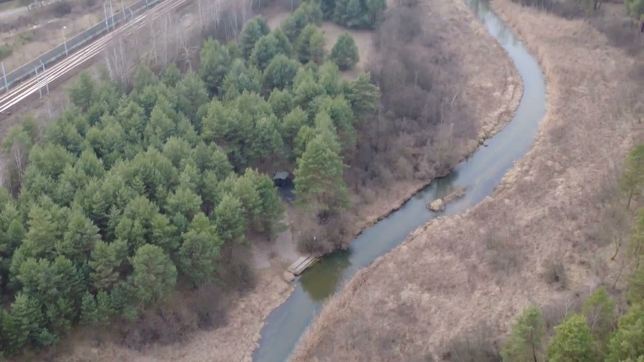 Przemsza Długoszyn Maczki   08 03 2026 4