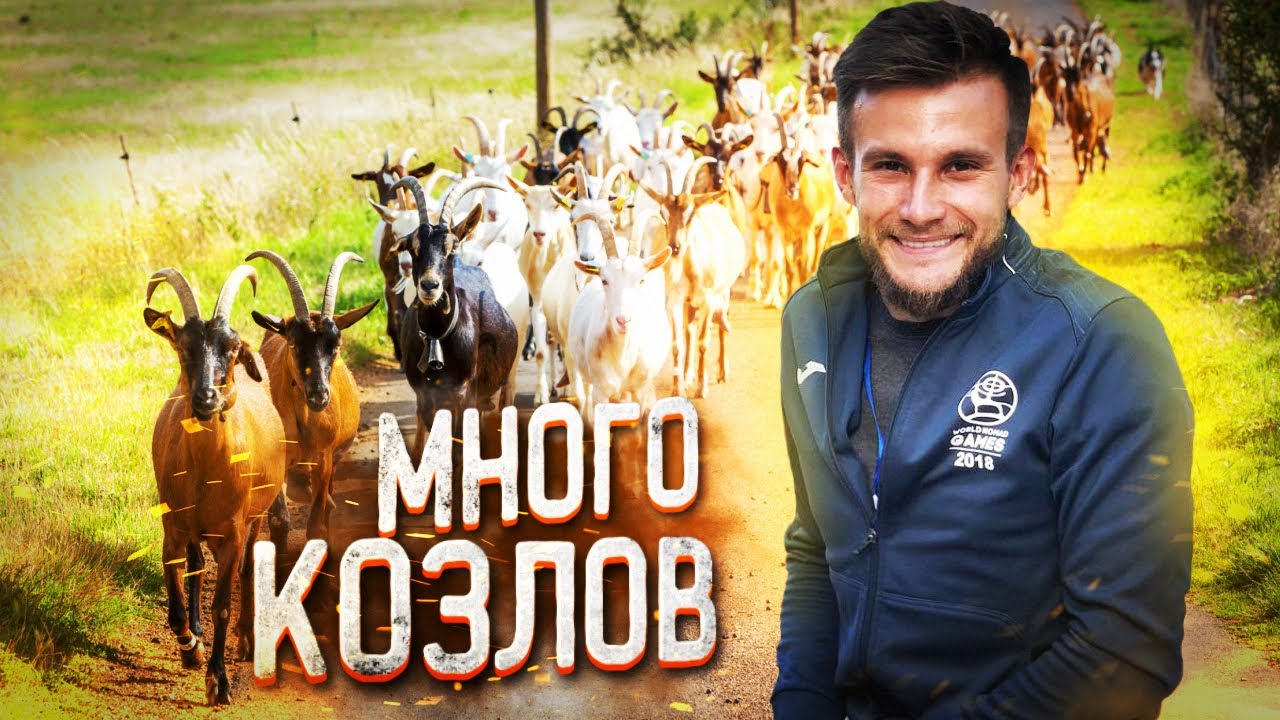 Как жить, если ты козёл?! Самая большая ферма России изнутри