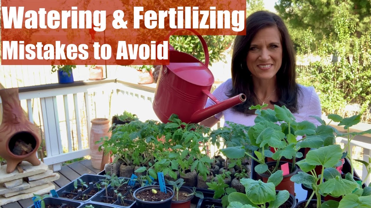 Mistakes NOT to Make When Watering & Fertilizing Indoor Vegetable Seedlings/Spring Garden Series #3