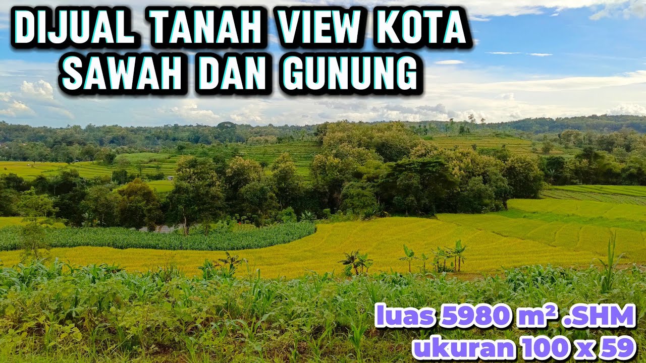 Dijual Tanah View Sawah ,Kota Dan Gunung 5980 m² ( 082194791760 ) 