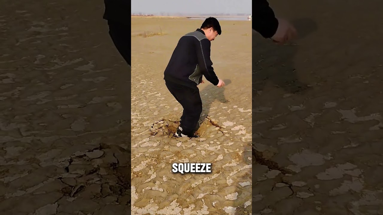 Why Does Mud Act Like Quicksand? Explained