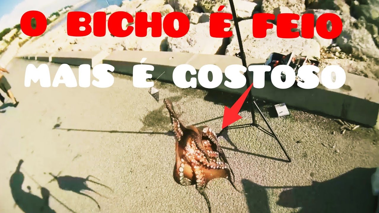 PESCA AO POLVO EM LISBOA  UM TRUQUE PARA ELE NÃO Agarra NAS  PEDRAS!
