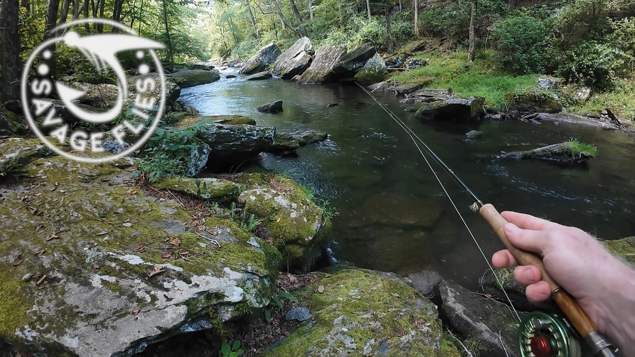 Prospecting for WILD Brown Trout (Fly Fishing Central Maryland)