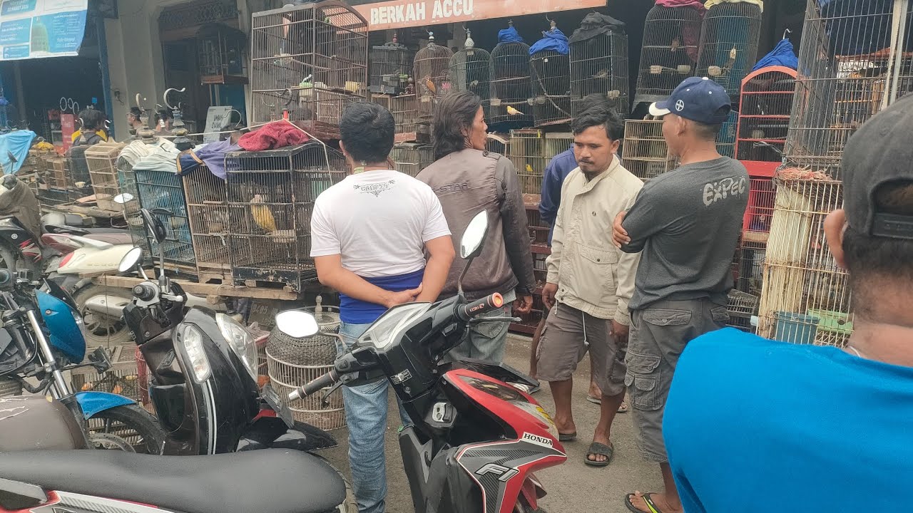 KASIAN BAPAK NYA DARI KAMPUNG BAWA BURUNG RAWATAN KEPASAR