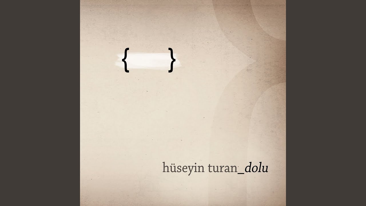 Kediyi Koydum Torbaya