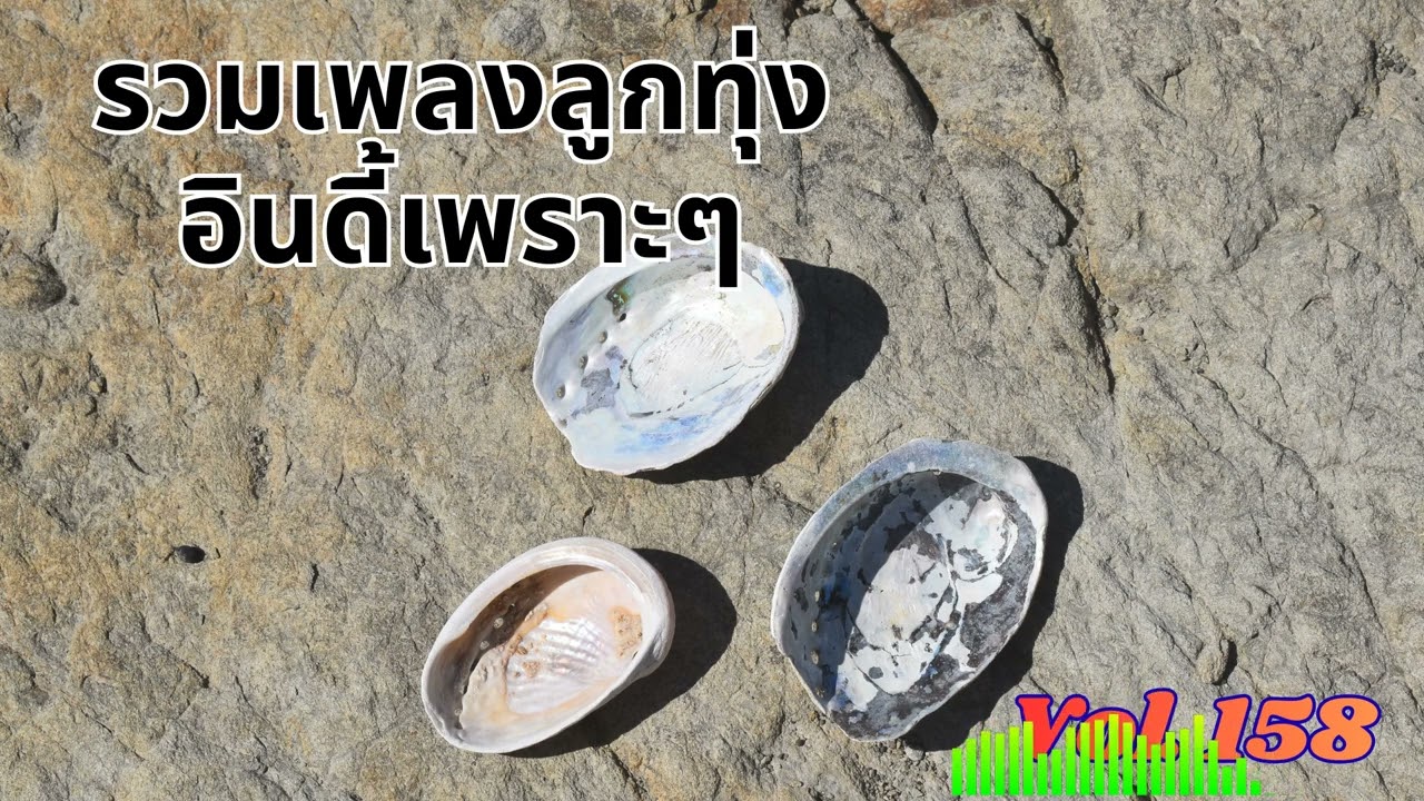 Ep 158 รวมลูกทุ่งอินดี้เพราะๆ เหงาๆ ซึ้งๆ อกหัก