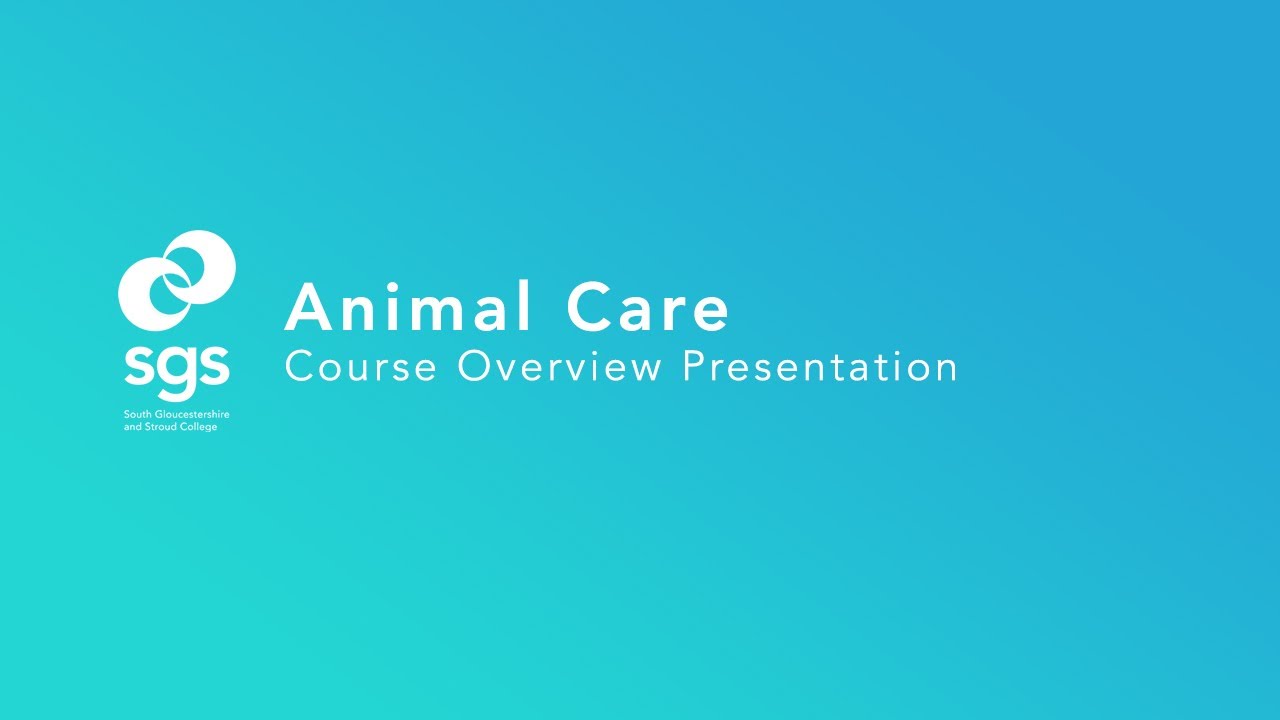 Animal Care Course Presentation Overview