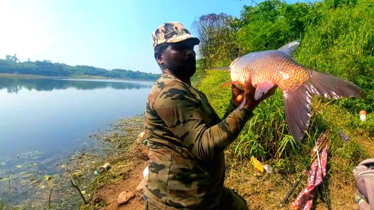 Manjeera River Fishing | King Size Rohu Fish Catching | Hyderabad Fishing