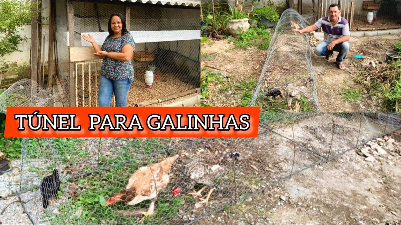 COMO FAZER TÚNEL PARA GALINHAS - PASSO A PASSO