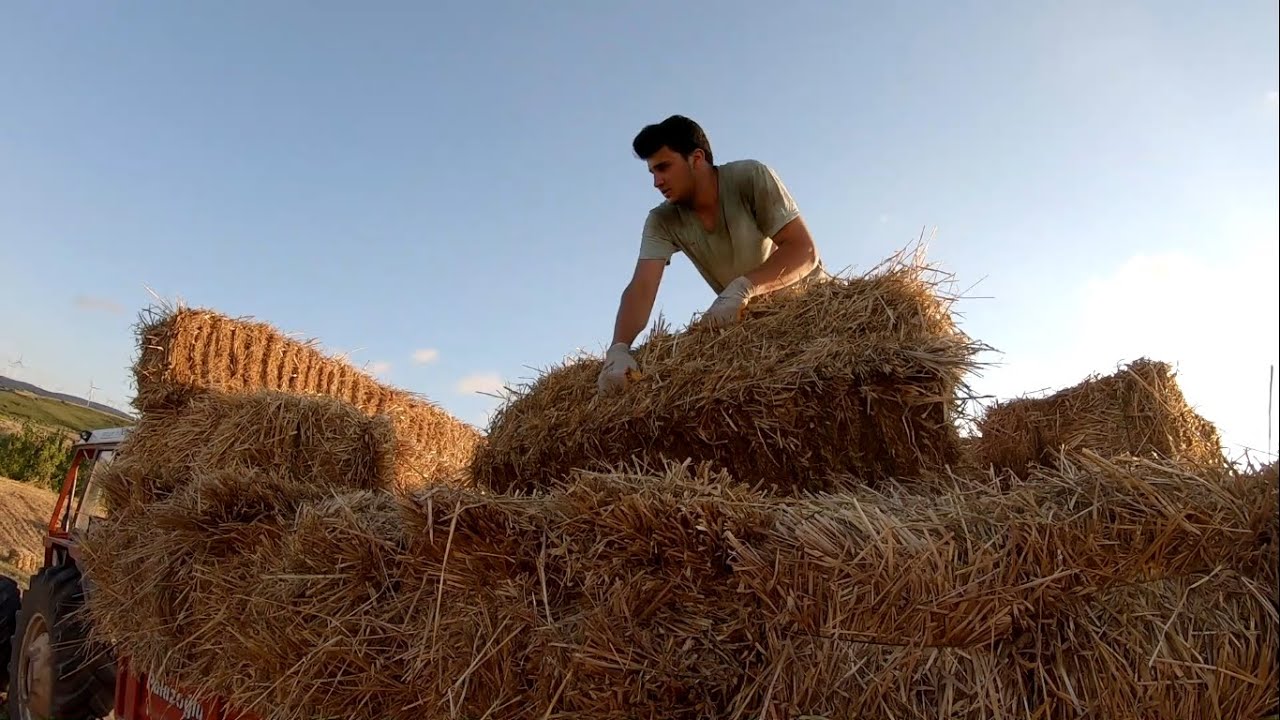 YULAF BALYASI TAŞIYORUZ [GoPro]