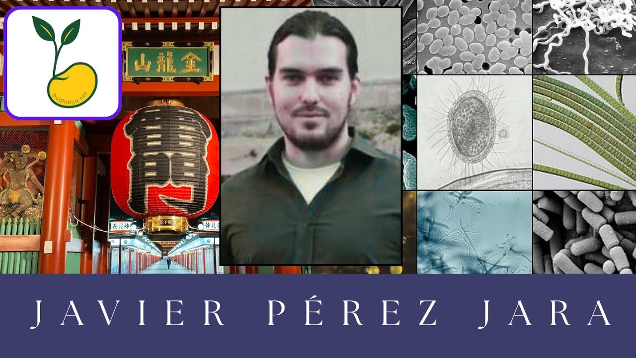 Bodhibīja #3 Javier Pérez Jara