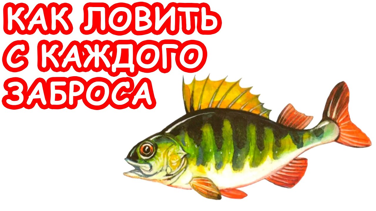 КАК ЛОВИТЬ НА КАЖДОМ ЗАБРОСЕ. РЫБАЛКА НА МИКРОДЖИГ. ПРИМАНКИ НА ОКУНЯ