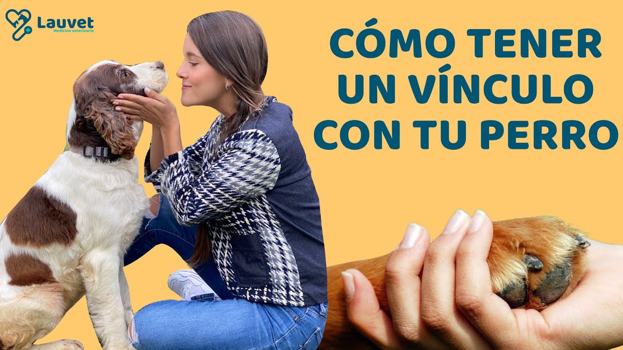 CÓMO FORMAR UN VÍNCULO CON TU PERRO - Lauvet