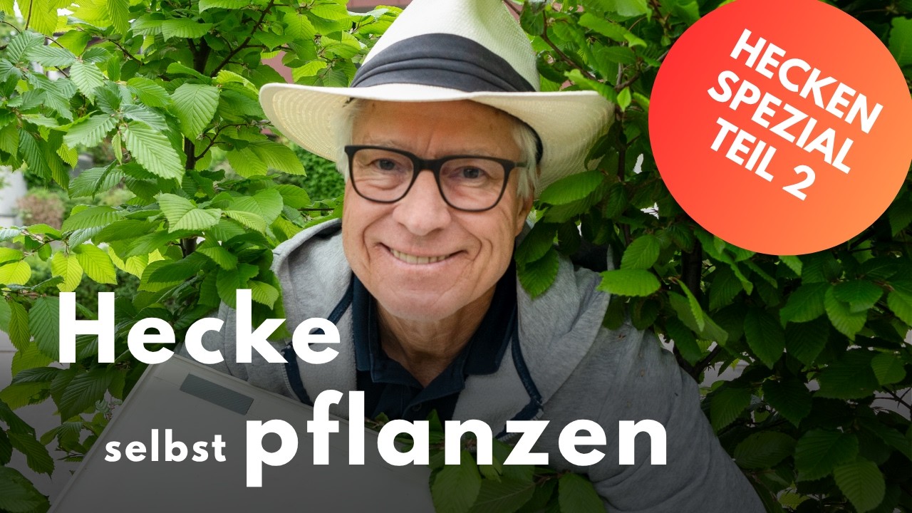 Hecke pflanzen wie ein Profi 🌿 | Planung & Arbeiten Schritt für Schritt erklärt