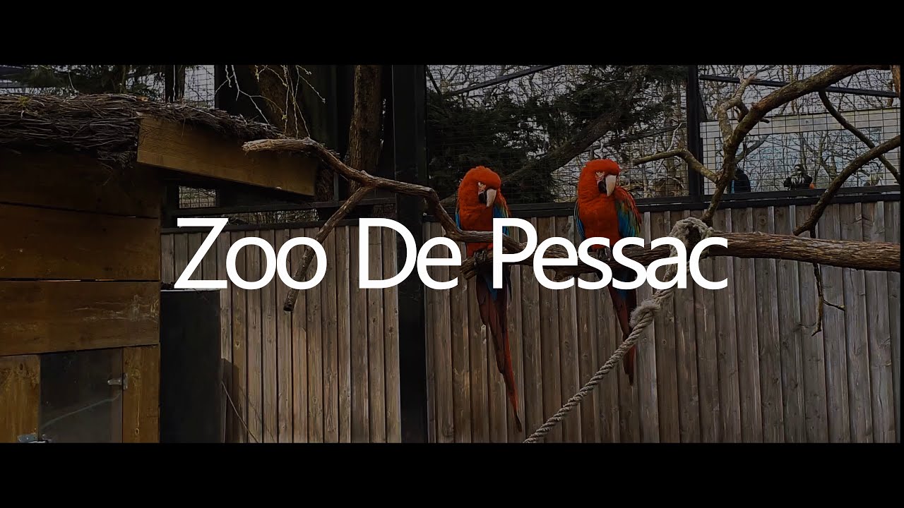 Zone Nature Episode 1 : Le Zoo de Bordeaux-Pessac
