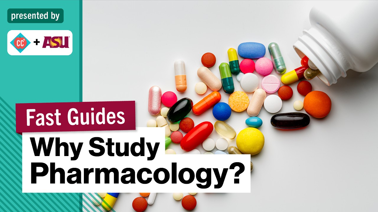 Why Study Pharmacology? | College Majors | College Degrees | Study Hall