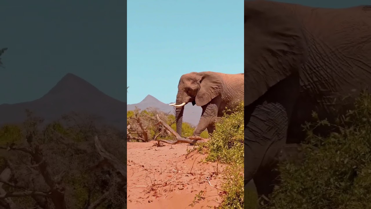 Explore Namibia 