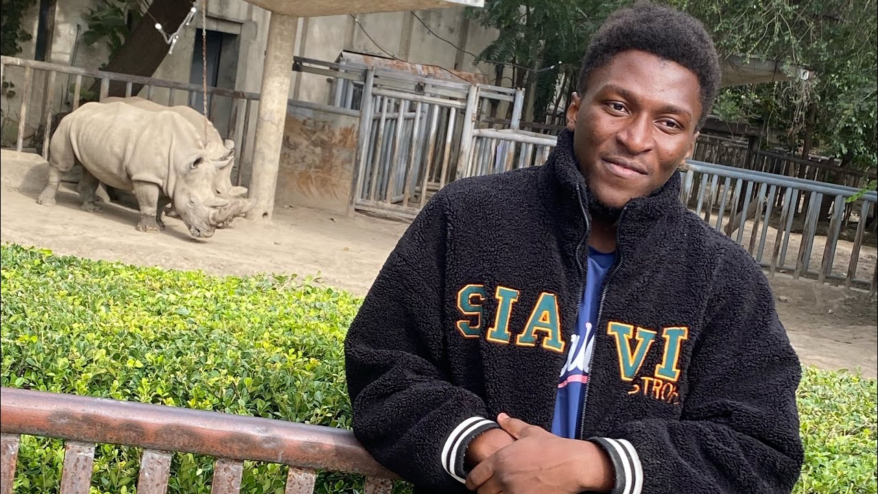 Trip to the best zoo in China 🇨🇳 (Beijing Zoo). Lions, elephant, giraffe, tigers etc. #vlogChina