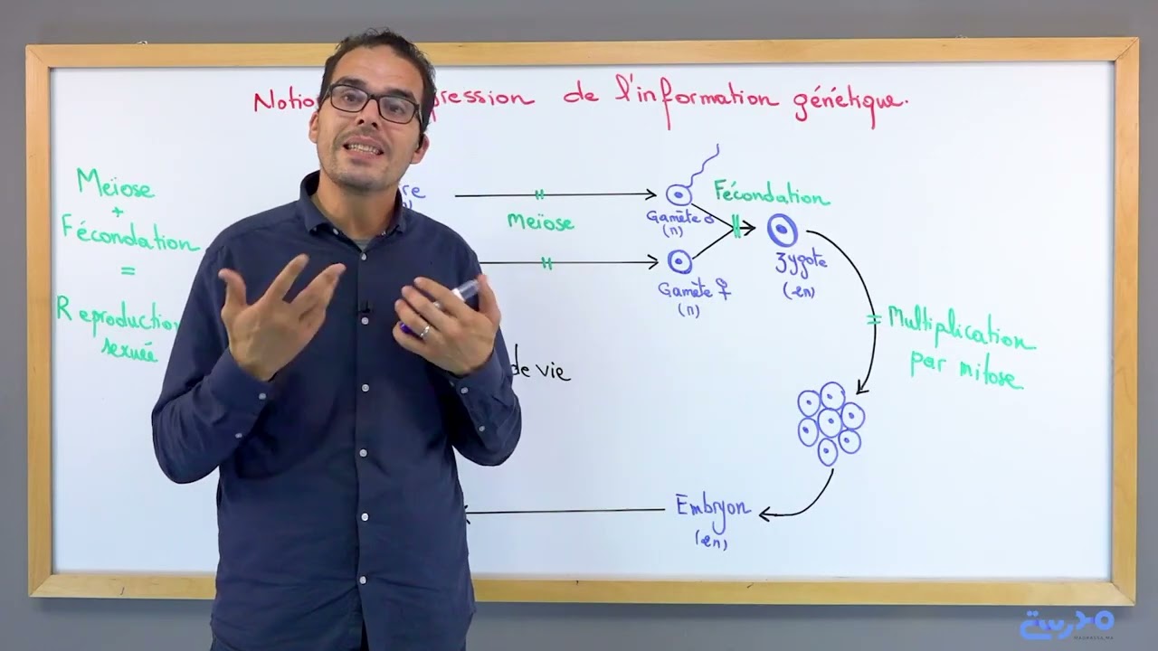 SVT 2Bac : ADN (1) - Notion de l'Information Génétique & Cycle de Vie | الخبر الوراثي