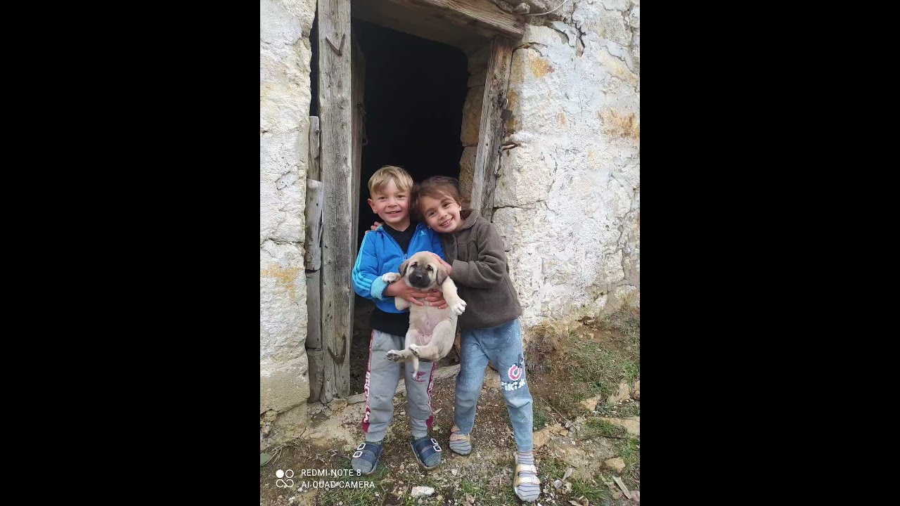 SARIÇİÇEK KÖYÜ Muhteşem Slayt👍👌💪💥